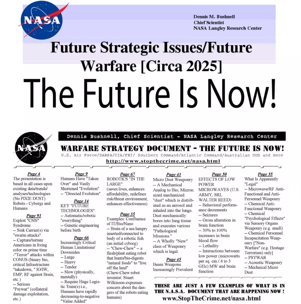 NANA Future Strategic Issues/Future Warfare [Circa 2025] The Future is Now www.stopthecrime.net/nasa