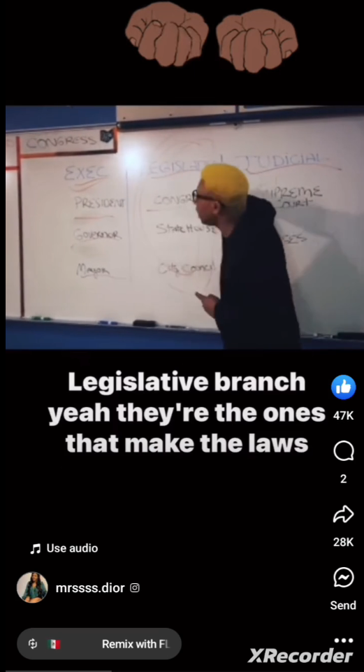 Screenshot from the video in this post "Legislative branch yeah they're the ones that make the laws."